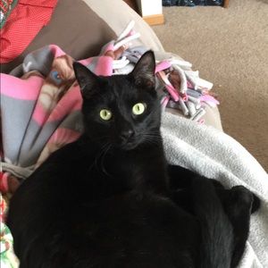 Meet your Posher, Kayla